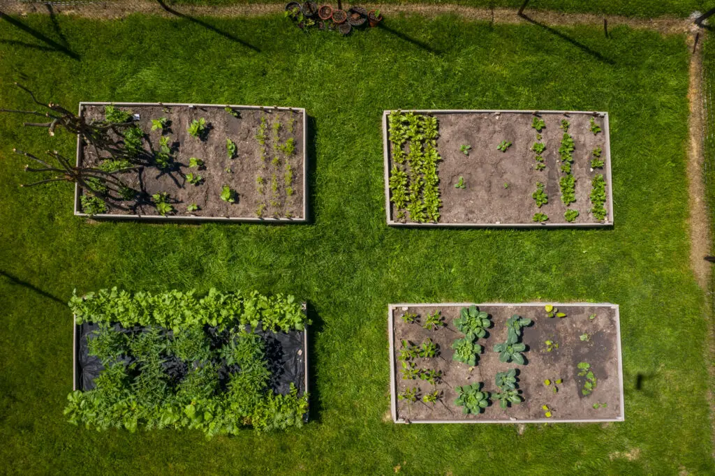arial view of vegetable gardens