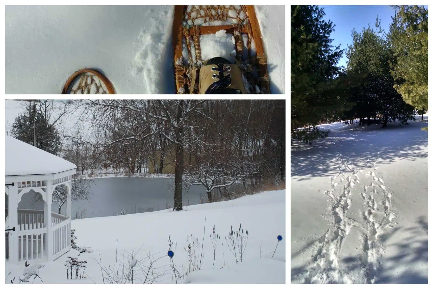 snowshoes and winter scenes at Hawk Valley Retreat
