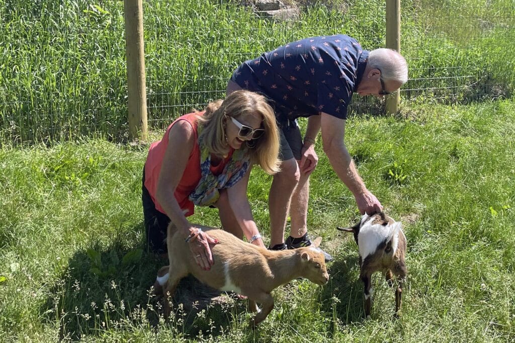 2 people playing with goats