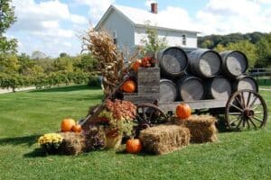 Galena Cellars Fall Harvest Festival 2022