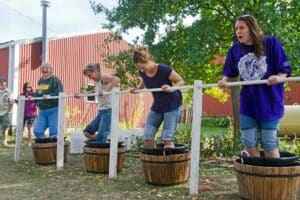 Grape stomping at Galena Cellars Fall Harvest Festival 2022