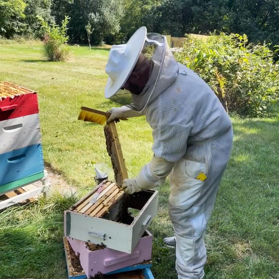 new bees at Hawk Valley Retreat
