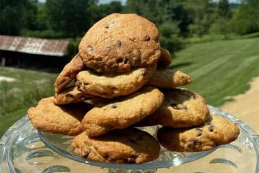 plate of chocolate chip cookies.
