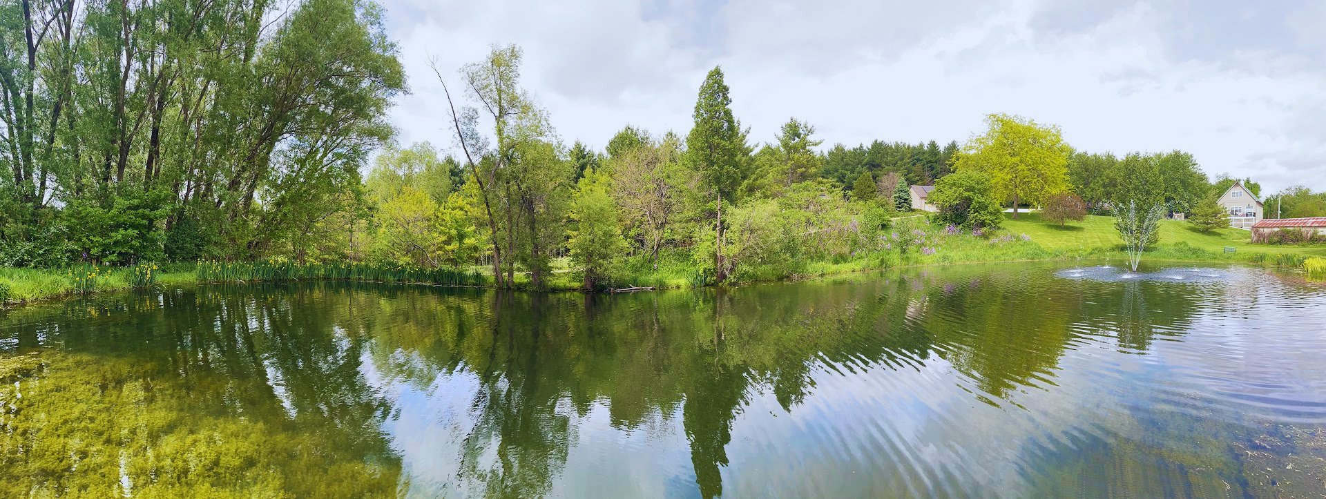The pond at hawk Valley Retreat & Cottages in May