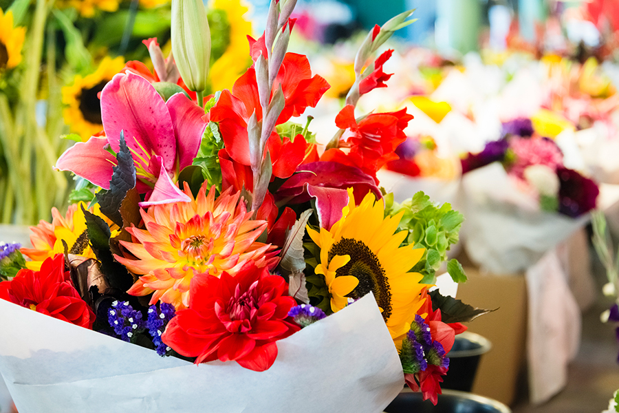 fresh cut flowers and more