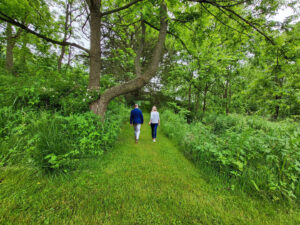 walking on path A couple taking a stroll on the walking trail at hawk valley retreat & cottages
